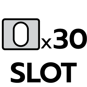 feature icon
