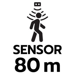 feature icon
