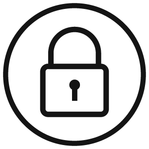 feature icon