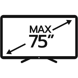 feature icon