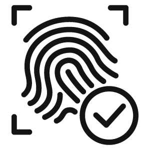 feature icon