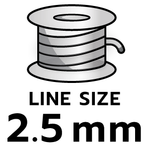 feature icon