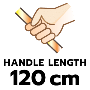 feature icon