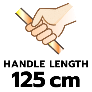 feature icon