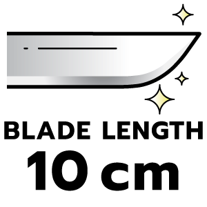 feature icon