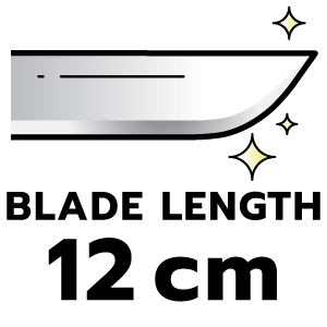 feature icon