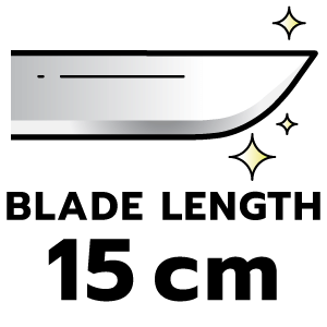 feature icon