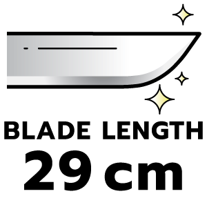 feature icon