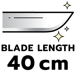 feature icon