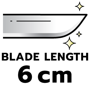 feature icon