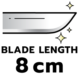 feature icon