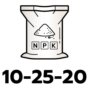 feature icon