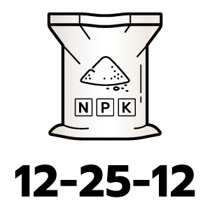 feature icon