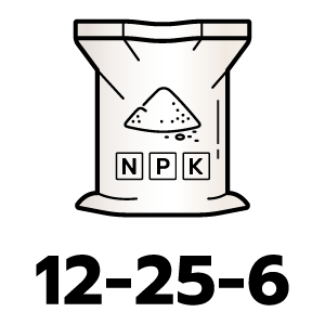 feature icon