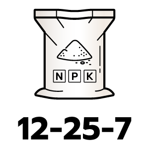 feature icon