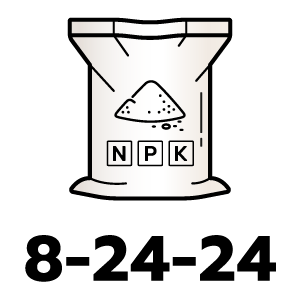 feature icon