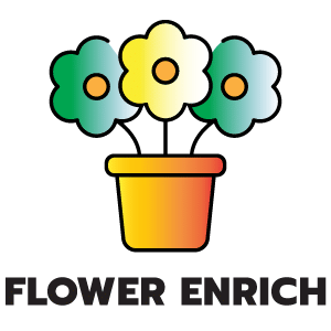 feature icon