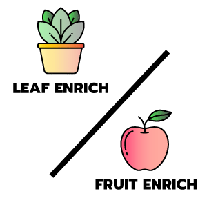 feature icon