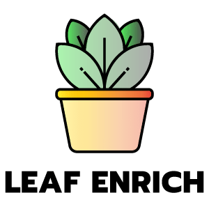 feature icon