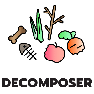 feature icon