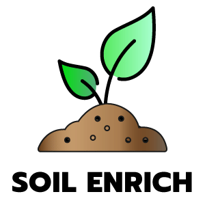 feature icon