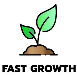 feature icon