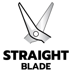 feature icon