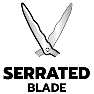 feature icon