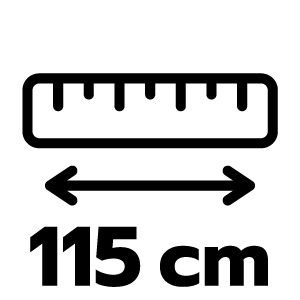feature icon