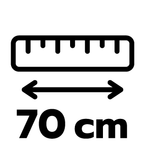 feature icon