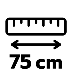 feature icon