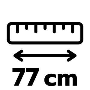 feature icon