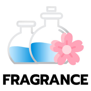 feature icon