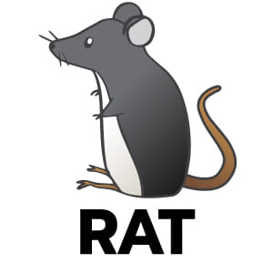 feature icon