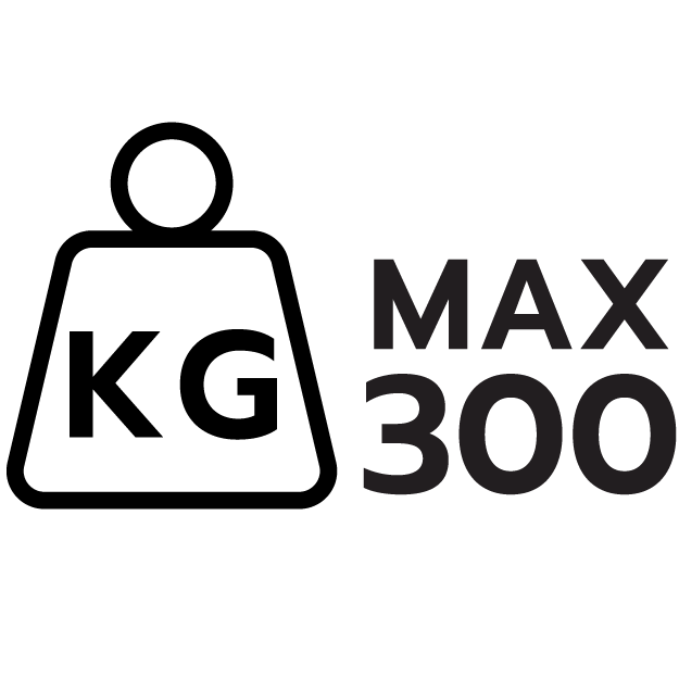 feature icon
