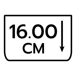 feature icon