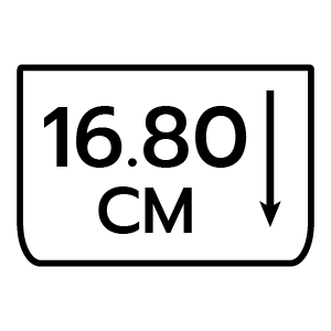 feature icon