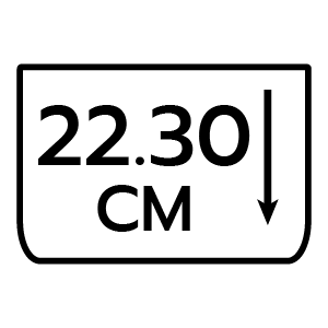 feature icon