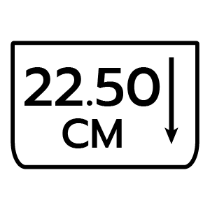 feature icon