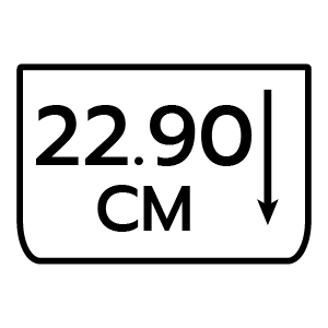 feature icon