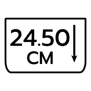 feature icon