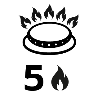 feature icon