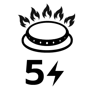 feature icon