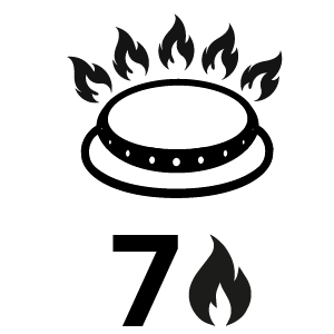 feature icon