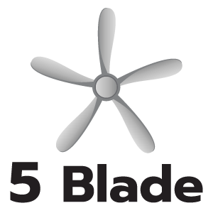 feature icon