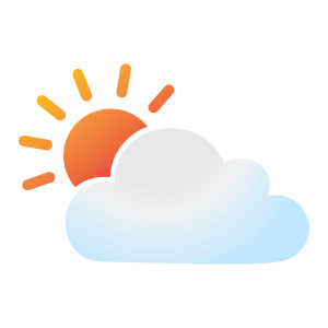 feature icon
