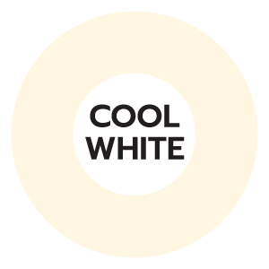 feature icon