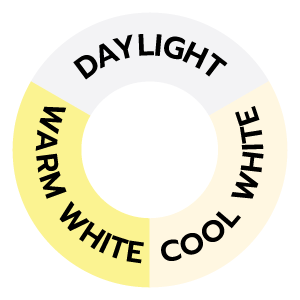 feature icon