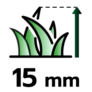 feature icon