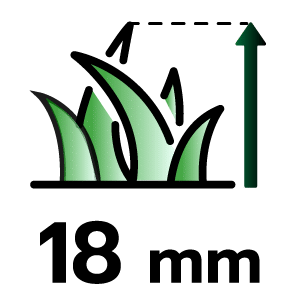 feature icon